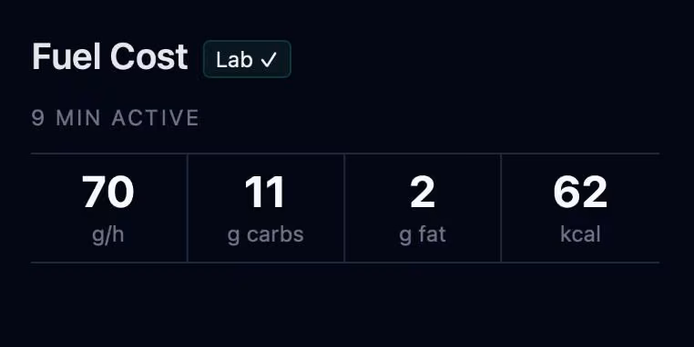 Fuel Cost card showing g/h, carbs, fat, and kcal for the ride